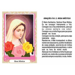 OP14032P100 - Oração N. Sra. Rosa Mística c/ 100un. - 6x4cm