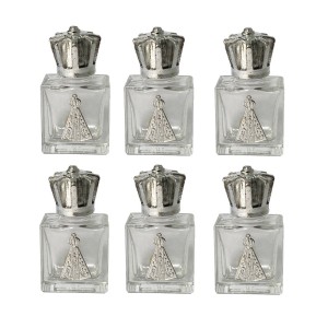 GF750195P6 - Garrafinha N. Sra. Aparecida c/ Pingente de Aluminio Prateado c/ 6un.  - 7x2,5cm