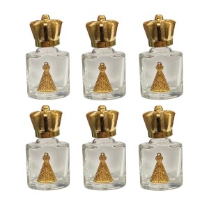 GF750202P6 - Garrafinha N. Sra. Aparecida c/ Pingente de Aluminio Dourado c/ 6un. - 5,5x3cm